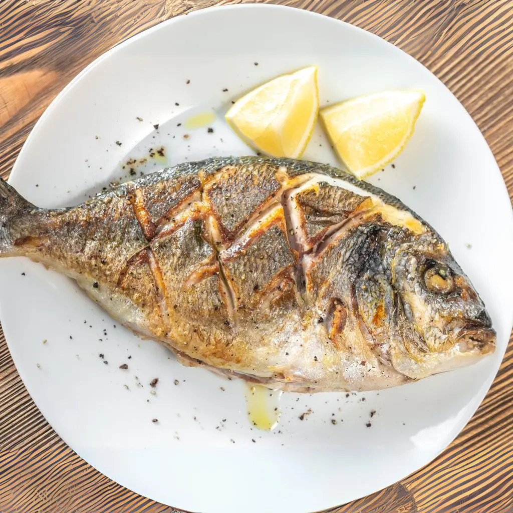 Gilt-Head Bream